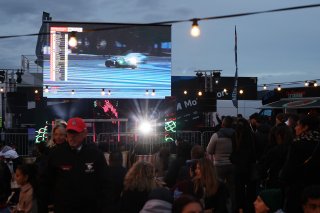 Fans in the Fanzone