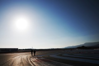 Driver trackwalk