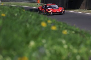 #14 - Emil Frey Racing - Konsta LAPPALAINEN - Ben GREEN - Ferrari 296 GT3 