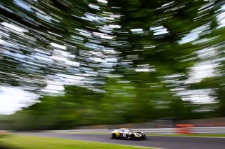 #10 - Boutsen VDS - Aurelien PANIS - Cesar GAZEAU - Mercedes-AMG GT3 EVO