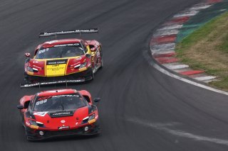 #14 - Emil Frey Racing - Konsta LAPPALAINEN - Ben GREEN - Ferrari 296 GT3 