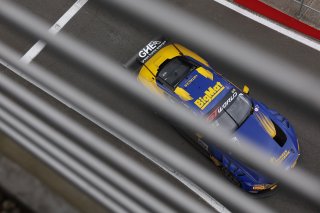 #64 - HRT Ford Performace - Jusuf OWEGA - Romain ANDRIOLO - Ford Mustang GT3 