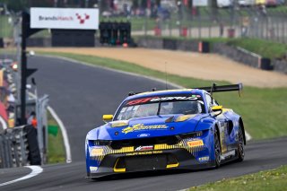 #64 - HRT Ford Performace - Jusuf OWEGA - Romain ANDRIOLO - Ford Mustang GT3 