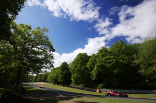 #14 - Emil Frey Racing - Konsta LAPPALAINEN - Ben GREEN - Ferrari 296 GT3 