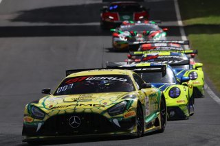 #48 - Winward Racing - Lucas AUER - Maro ENGEL - Mercedes-AMG GT3 EVO 