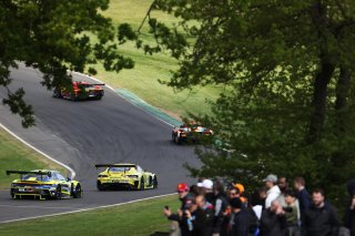#48 - Winward Racing - Lucas AUER - Maro ENGEL - Mercedes-AMG GT3 EVO 