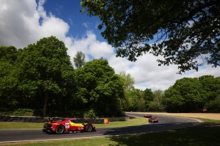 #50 - AF Corse - Francorchamps Motors - Arthur LECLERC - Thomas NEUBAUER - Ferrari 296 GT3 