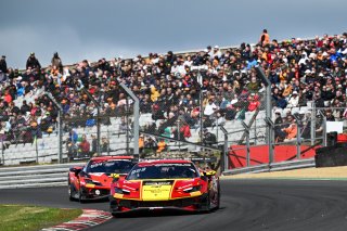#51 - AF Corse - Francorchamps Motors - Alessio ROVERA - Vincent ABRIL - Ferrari 296 GT3