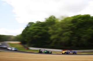 #64 - HRT Ford Performace - Jusuf OWEGA - Romain ANDRIOLO - Ford Mustang GT3 