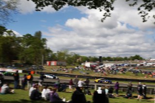 #64 - HRT Ford Performace - Jusuf OWEGA - Romain ANDRIOLO - Ford Mustang GT3 