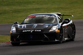 Maserati Cars 