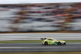 #48 - Winward Racing - Lucas AUER - Maro ENGEL - Mercedes-AMG GT3 EVO 