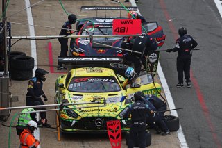#48 - Winward Racing - Lucas AUER - Maro ENGEL - Mercedes-AMG GT3 EVO 