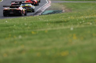 #50 - AF Corse - Francorchamps Motors - Arthur LECLERC - Thomas NEUBAUER - Ferrari 296 GT3 