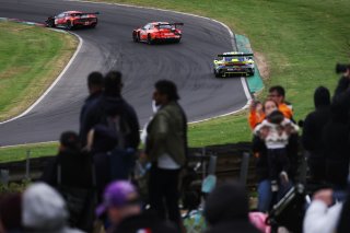 #96 - Rutronik Racing - Sven MULLER - Patric NIEDERHAUSER - Porsche 911 GT3 R (992) 