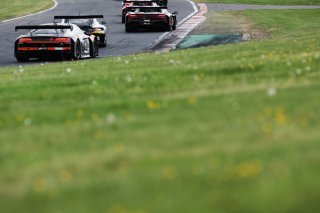 #99 - Tresor Attempto Racing - Alex AKA - Ezequiel PEREZ COMPANC - Audi R8 LMS GT3 EVO II