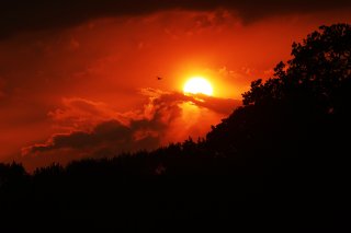 Sunset at Brands Hatch 