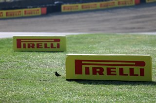 Pirelli Tyres 
