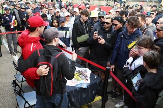 #50 - AF Corse - Arthur LECLERC - Thomas NEUBAUER - Ferrari 296 GT3 in the autograph session