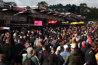 Autograph session  GT World Challenge powered by AWS Sprint Cup at Brands Hatch 