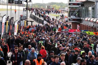 Autograph session  GT World Challenge powered by AWS Sprint Cup at Brands Hatch 