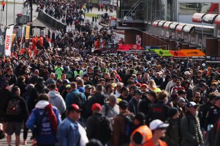 Autograph session  GT World Challenge powered by AWS Sprint Cup at Brands Hatch 