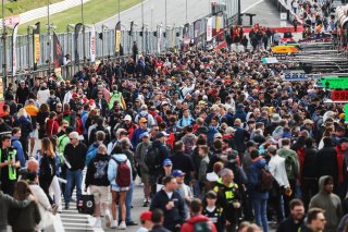 Autograph session  GT World Challenge powered by AWS Sprint Cup at Brands Hatch 