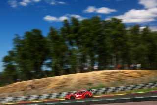 #911 - Pure Rxcing - Aliaksandr MALYKHIN - Richard LIETZ - Thomas PREINING - Porsche 911 GT3 R (992)