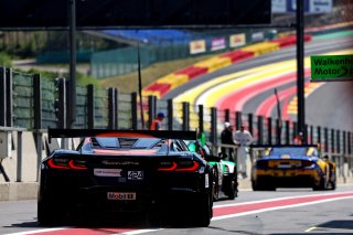 #424 - Steller Motorsport - Corvette Z06 GT3.R