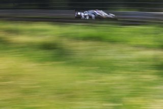 #24 - Steller Motorsport - Matisse LISMONT - Daniel ALI - Lorcan HANAFIN - Corvette Z06 GT3.R