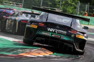 #81 - Winward Racing - Gabriele PIANA - Rinat SALIKHOV - Marvin DIENST - Mercedes-AMG GT3 EVO