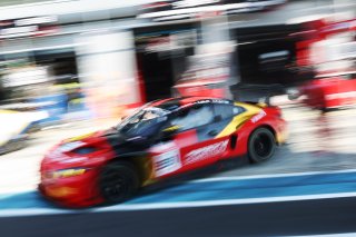 #991 - Paradine Competition - Ashley SUTTON - Sean GELAEL - Darren LEUNG - BMW M4 GT3 EVO