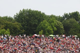 Fans in the Grandstand