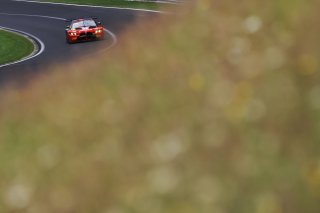 #991 - Paradine Competition - Toby SOWERY - Jake DENNIS - Sean GELAEL - Darren LEUNG - BMW M4 GT3 EVO