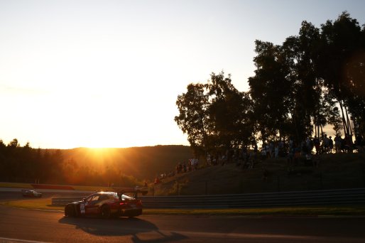#991 - Paradine Competition - Sean GELAEL  - BMW M4 GT3 EVO | SRO / JEP