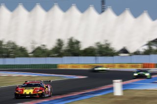#50 - AF Corse - Francorchamps Motors - Arthur LECLERC - Thomas NEUBAUER - Ferrari 296 GT3
