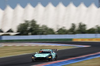 #81 - Winward Racing - Gabriele PIANA - Rinat SALIKHOV - Mercedes-AMG GT3 EVO 