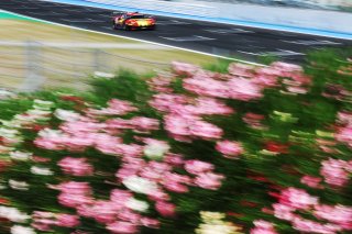 #50 - AF Corse - Francorchamps Motors - Arthur LECLERC - Thomas NEUBAUER - Ferrari 296 GT3