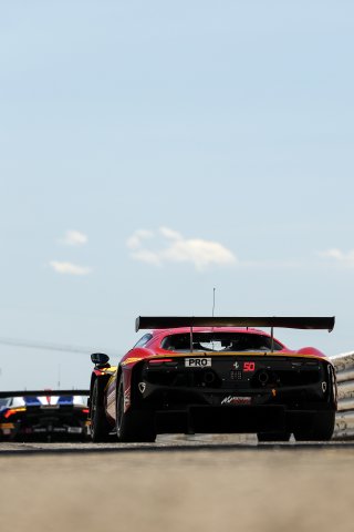 #50 - AF Corse - Francorchamps Motors - Arthur LECLERC - Thomas NEUBAUER - Ferrari 296 GT3