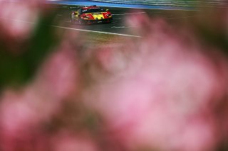 #51 - AF Corse - Francorchamps Motors - Alessio ROVERA - Vincent ABRIL - Ferrari 296 GT3 