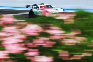 #81 - Winward Racing - Gabriele PIANA - Rinat SALIKHOV - Mercedes-AMG GT3 EVO 