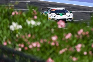 #85 - Imperiale Racing - Loris SPINELLI - Dmitriy GVAZAVA - Lamborghini Huracan GT3 EVO2 