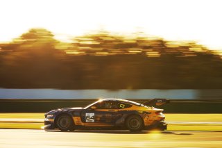 #64 - HRT Ford Performance - Jusuf OWEGA - Romain ANDRIOLO - Ford Mustang GT3