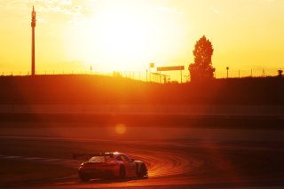 #81 - Winward Racing - Gabriele PIANA - Rinat SALIKHOV - Mercedes-AMG GT3 EVO 