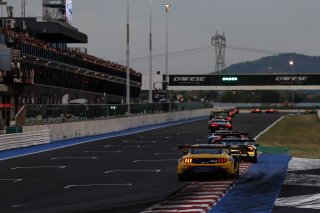 #64 - HRT Ford Performance - Jusuf OWEGA - Romain ANDRIOLO - Ford Mustang GT3