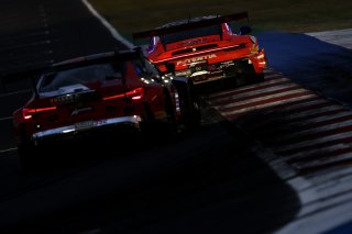 #80 - Lionspeed GP - Ricardo FELLER - Gabriel RINDONE - Porsche 911 GT3 R 