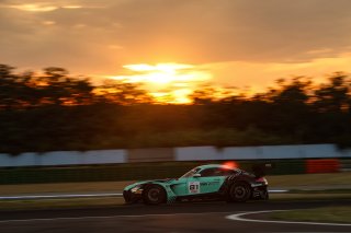#81 - Winward Racing - Gabriele PIANA - Rinat SALIKHOV - Mercedes-AMG GT3 EVO 