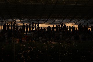Fans at Misano Circuit