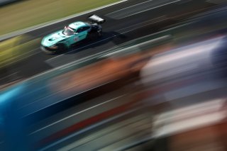 #81 - Winward Racing - Gabriele PIANA - Rinat SALIKHOV - Mercedes-AMG GT3 EVO 