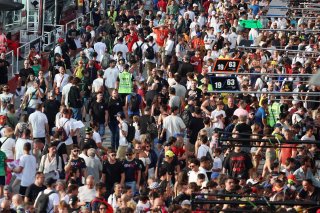 Fans at Misano 